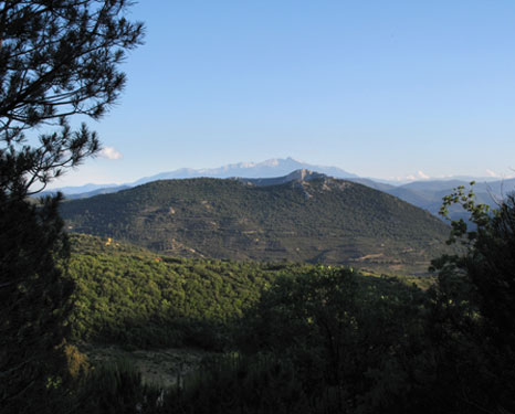 Beautiful local landscape